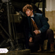 Eddie Redmayne stars in Fantastic Beasts and Where to Find Them. All Images: Warner Bros.
